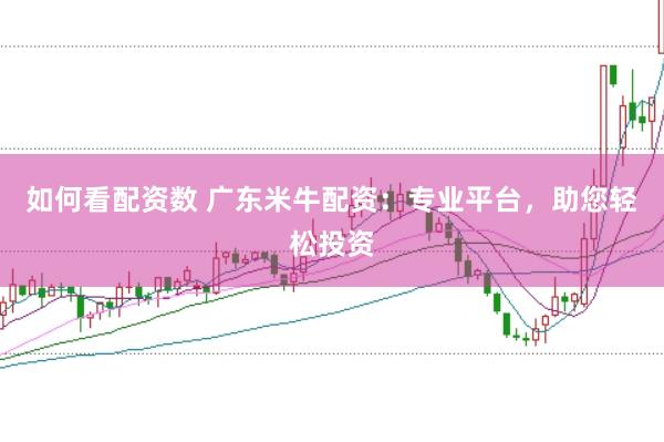 如何看配资数 广东米牛配资：专业平台，助您轻松投资