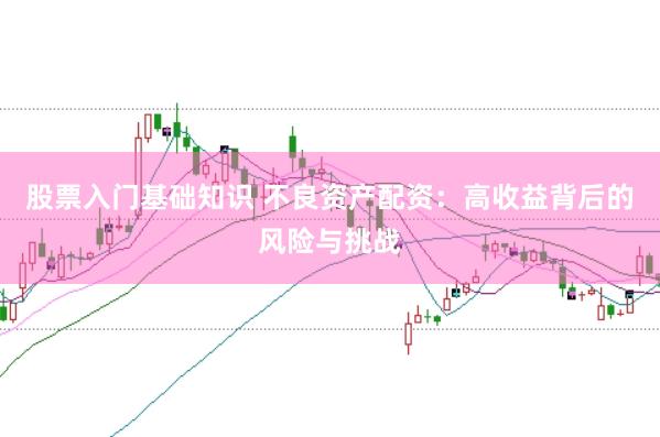 股票入门基础知识 不良资产配资：高收益背后的风险与挑战