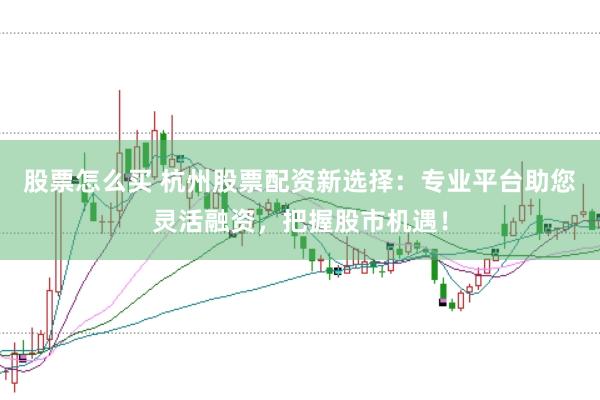 股票怎么买 杭州股票配资新选择：专业平台助您灵活融资，把握股市机遇！