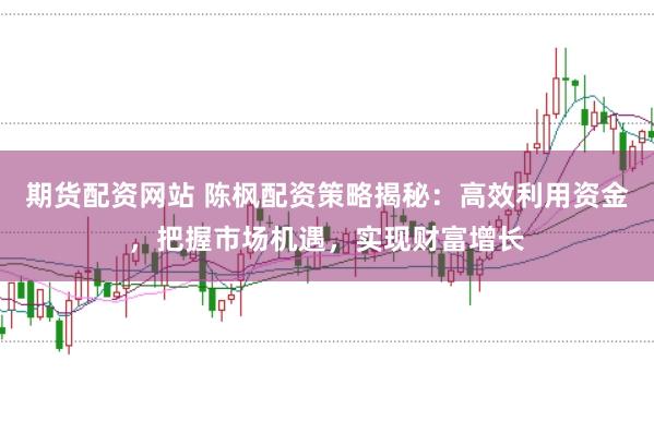 期货配资网站 陈枫配资策略揭秘：高效利用资金，把握市场机遇，实现财富增长