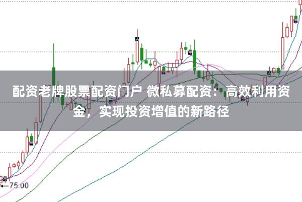 配资老牌股票配资门户 微私募配资：高效利用资金，实现投资增值的新路径