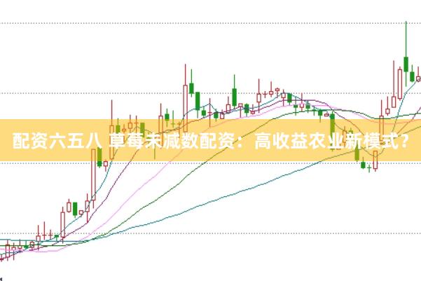 配资六五八 草莓未减数配资：高收益农业新模式？
