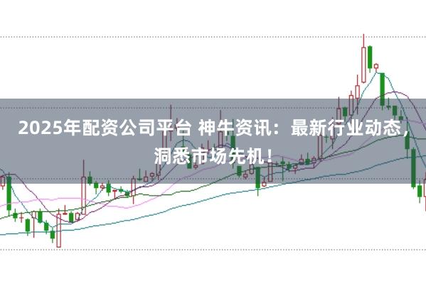 2025年配资公司平台 神牛资讯：最新行业动态，洞悉市场先机！