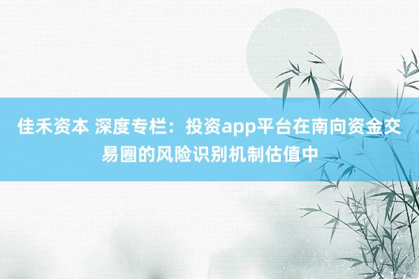 佳禾资本 深度专栏：投资app平台在南向资金交易圈的风险识别机制估值中