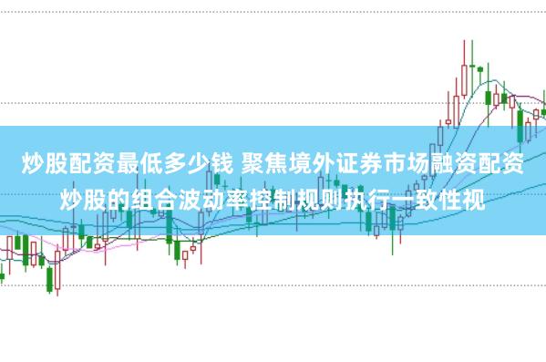 炒股配资最低多少钱 聚焦境外证券市场融资配资炒股的组合波动率控制规则执行一致性视