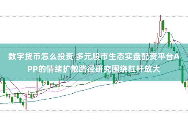 数字货币怎么投资 多元股市生态实盘配资平台APP的情绪扩散路径研究围绕杠杆放大
