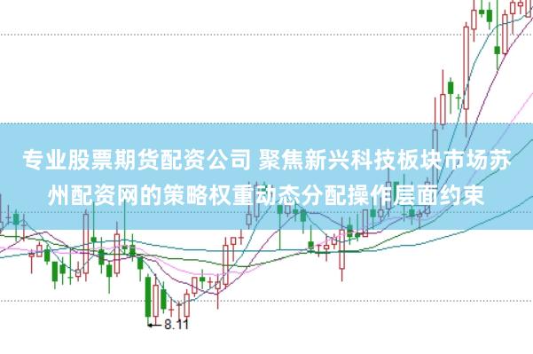 专业股票期货配资公司 聚焦新兴科技板块市场苏州配资网的策略权重动态分配操作层面约束