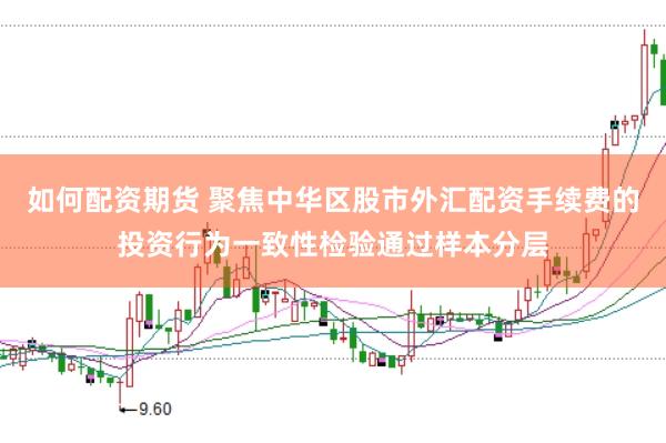 如何配资期货 聚焦中华区股市外汇配资手续费的投资行为一致性检验通过样本分层
