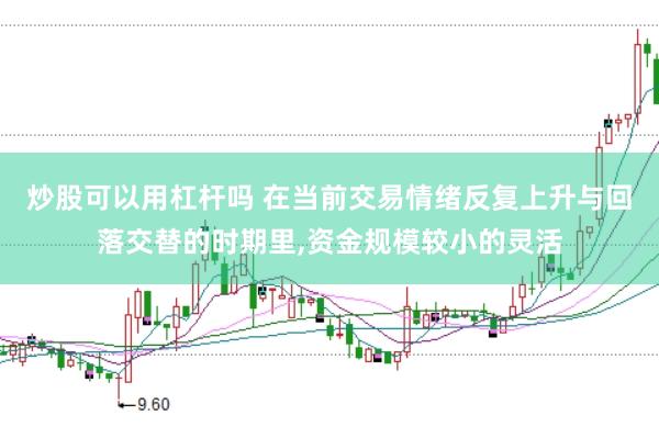 炒股可以用杠杆吗 在当前交易情绪反复上升与回落交替的时期里,资金规模较小的灵活