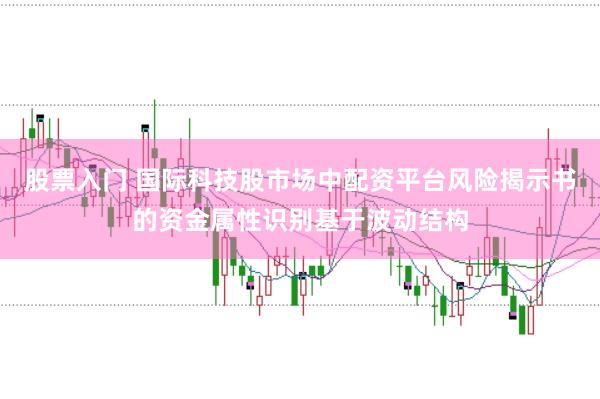 股票入门 国际科技股市场中配资平台风险揭示书的资金属性识别基于波动结构
