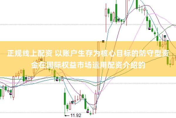 正规线上配资 以账户生存为核心目标的防守型资金在国际权益市场运用配资介绍的