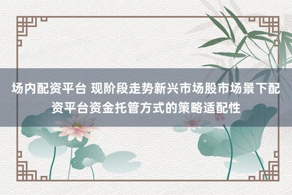 场内配资平台 现阶段走势新兴市场股市场景下配资平台资金托管方式的策略适配性