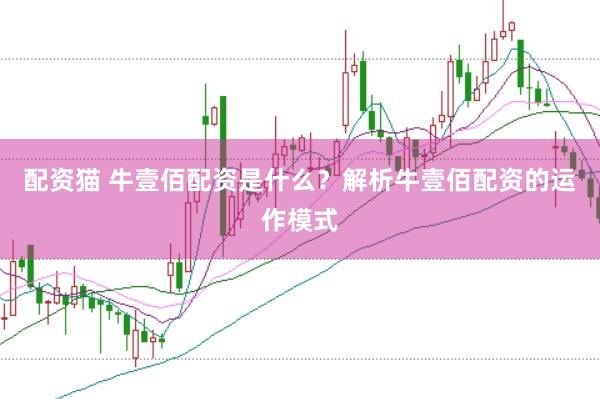 配资猫 牛壹佰配资是什么？解析牛壹佰配资的运作模式